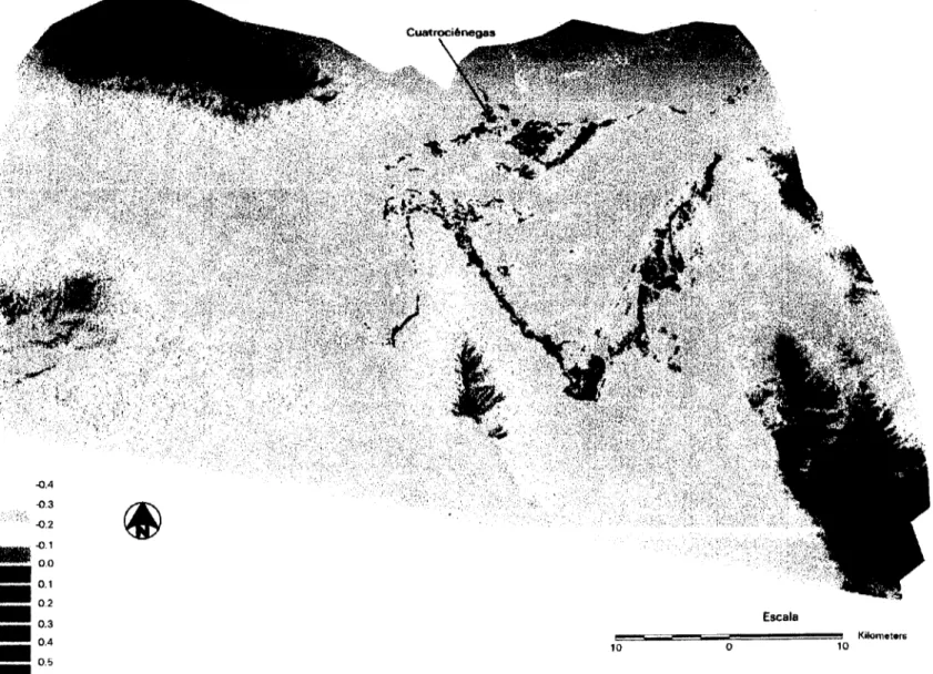 Figura 29. índice de Diferencia Normalizada de la Vegetación de la Imagen Landsat TM-5 de Julio de 1995.