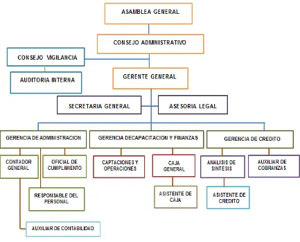FIGURA N°1: Organigrama Estructural  de la COAC “Loja Internacional” Ltda.