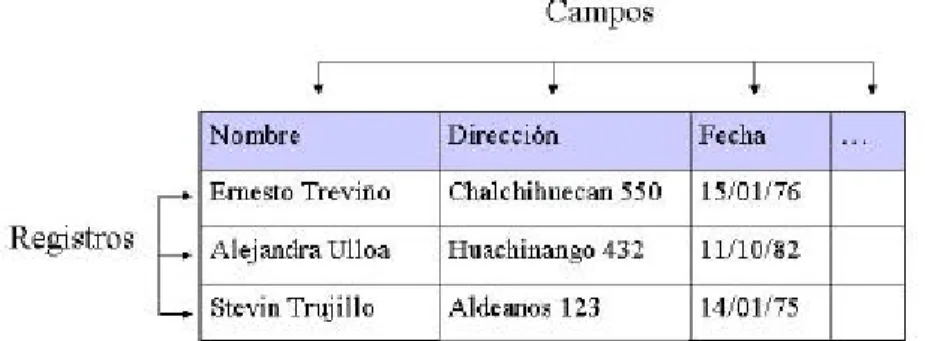 Fig. 2.1 Composición de una base de datos 