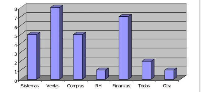 Fig. 6.10 Áreas contempladas por el  data warehouse 