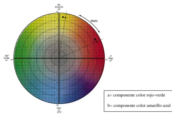 Figura 6. Escala de color Munsell (Instructivo DataColor 650, Chr. Hansen, 2014). 