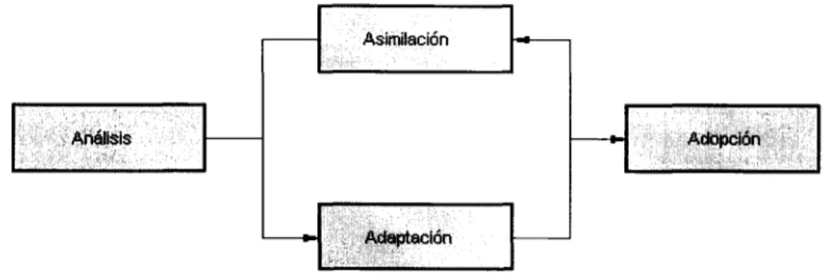 Figura 6.1. Las cuatro etapas de la im- im-plantación del PPDS