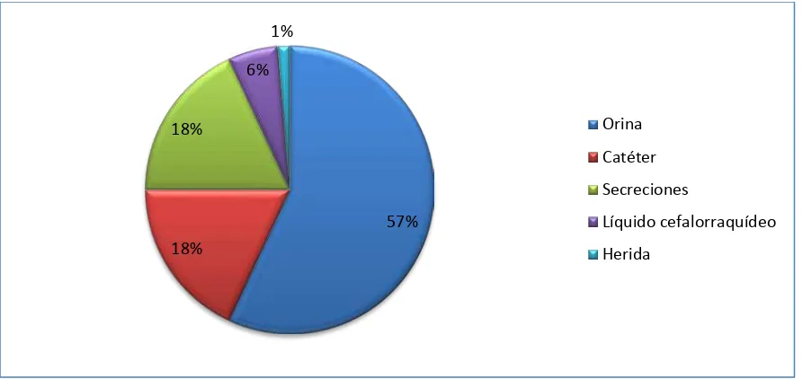 Tabla 1. Tipos de muestras analizadas en pacientes hospitalizados del Hospital "Manuel Ygnacio Monteros" durante el período agosto-septiembre 2013