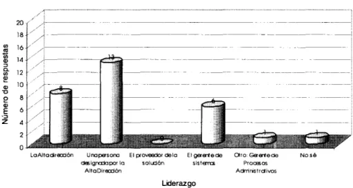 Figura 5.15. Liderazgo del proyecto.