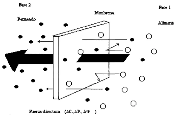 Figura 2.2 Descripción de una membrana semipermeable.
