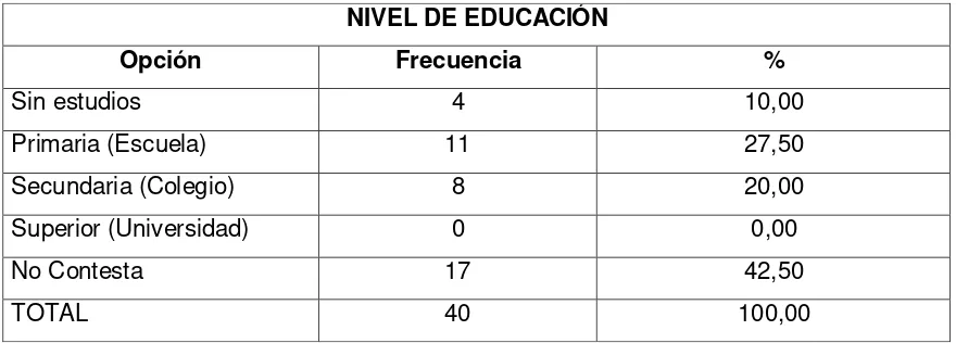 Tabla 8. Perfil de las profesoras participantes. 