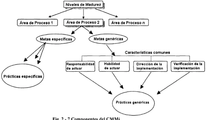 Fig.  2 - 7 Componentes del CMMi
