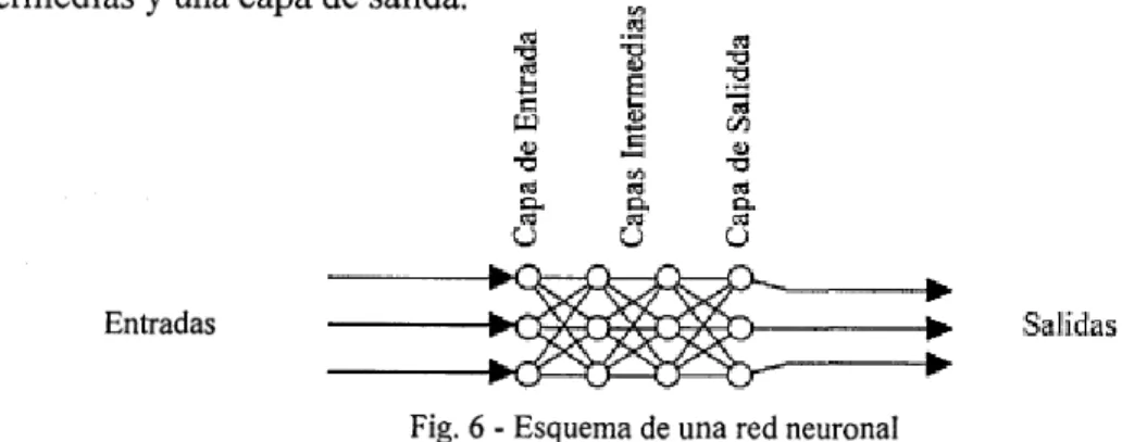 Fig. 6 - Esquema de una red neuronal