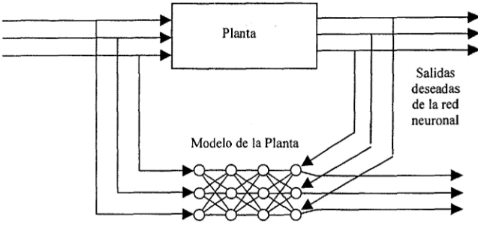 Fig. 8 - Identificación de la planta