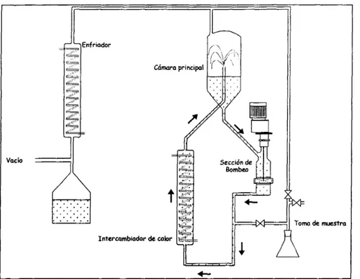 Figura 11. Sistema experimental para la evaporación al vacío de la solución original.