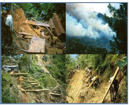 Figura 3: Extracción de madera en el Parque Nacional Podocarpus 