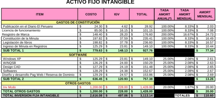CUADRO Nº 8.1  ACTIVO FIJO INTANGIBLE 