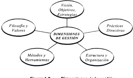 Figura 1.2 Dimensiones de la gestión