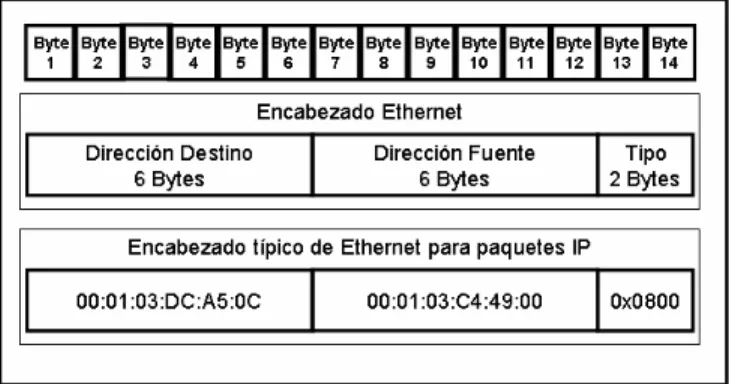Figura 2.1. Formato de un frame de Ethernet. 