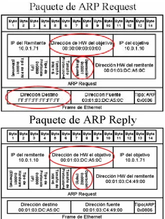Figura 2.3. Formato de paquetes ARP Request y ARP Reply. 