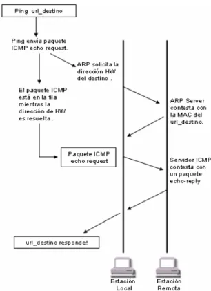 Figura 2.4. Formato de paquetes ARP Request y ARP Reply. 