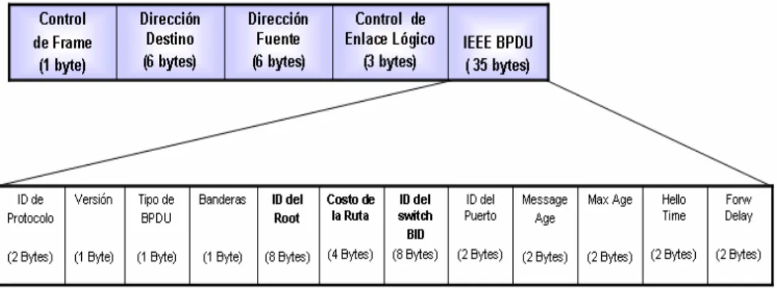 Figura 3.1. Formato de un frame BPDU. 