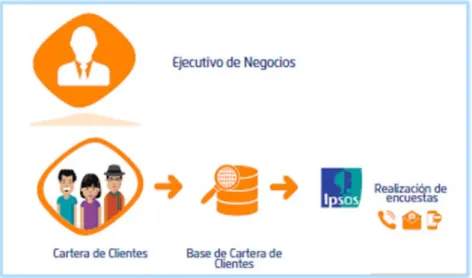 Figura 8: Procesos encuestas a clientes, Reporte Satisfacción DCA. 
