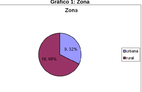 Gráfico 1: Zona 