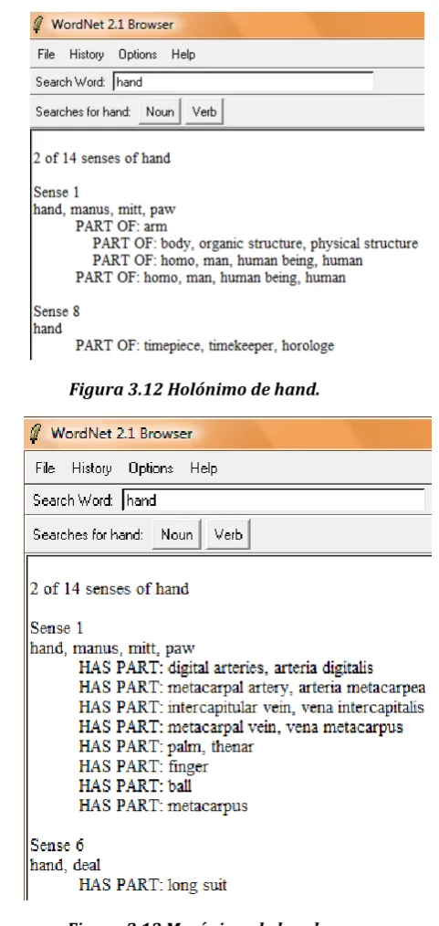 Figura 3.12 Holónimo de hand. 
