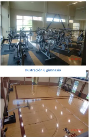 Ilustración 6 gimnasio