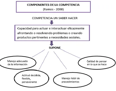 Figura 1. Descripción del concepto de Competencia 