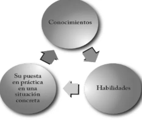 Figura 8. Elementos para el desarrollo de las competencias. 