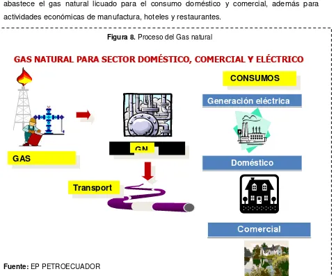 Figura 8. Proceso del Gas natural 