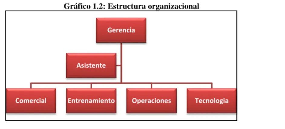Gráfico 1.2: Estructura organizacional 