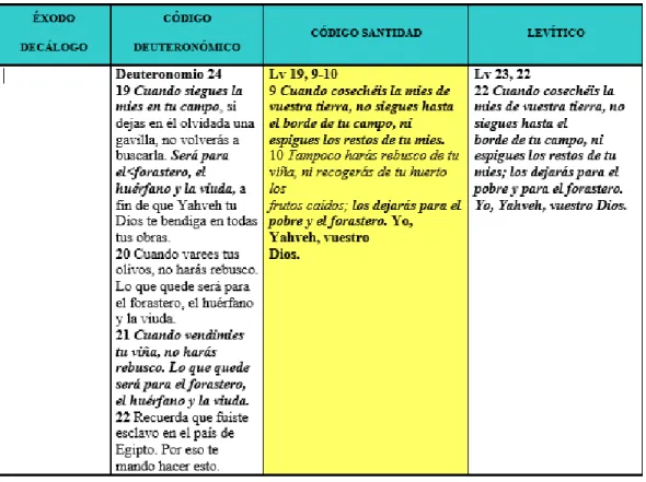 Tabla No 8 Paralelos en el texto bíblico de Lv 19, 9-10     