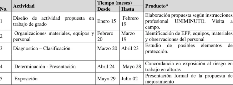 Tabla 2. Cronograma de Actividades 