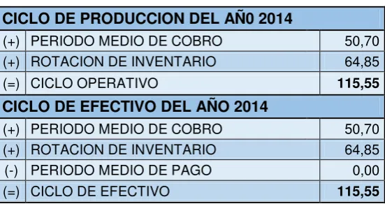 Tabla 8: Ciclo de Producción 