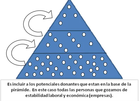 Figura 3 Pirámide de los donantes 