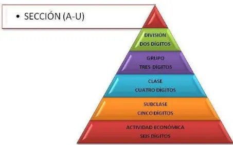 Figura Nro. 4: Representación piramidal clasificación CIIU