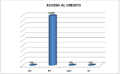 Figura Nro. 23: Mayor viabilidad al crédito 