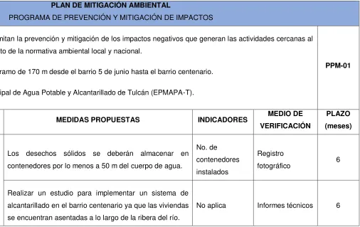 Estructura del plan de mitigación ambiental