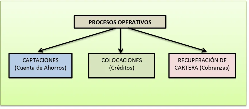 Figura 4  .Definición de Procesos Fuente: COOPAC LTDA. Elaborado por: La autora. 