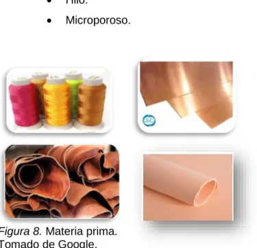 Figura 8. Materia prima. 
