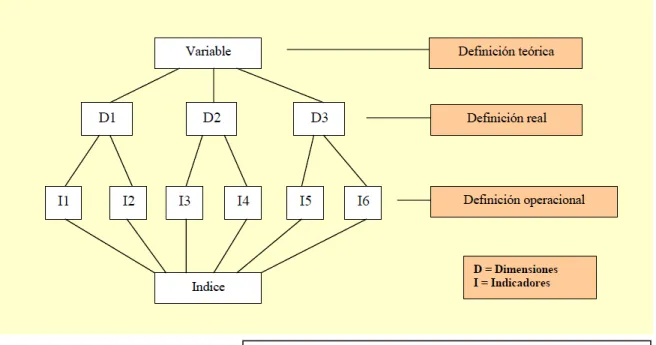Gráfico Operacionalización de Categorías. (Cazau, 2004) 