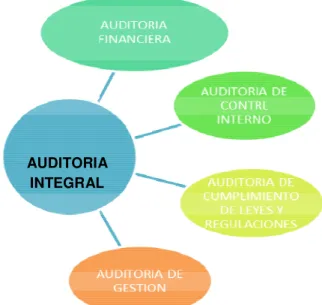 Figura Nº 4 Componentes de la Auditoria Integral 