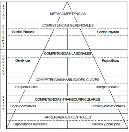 Figura 2. Tipos de competencias   