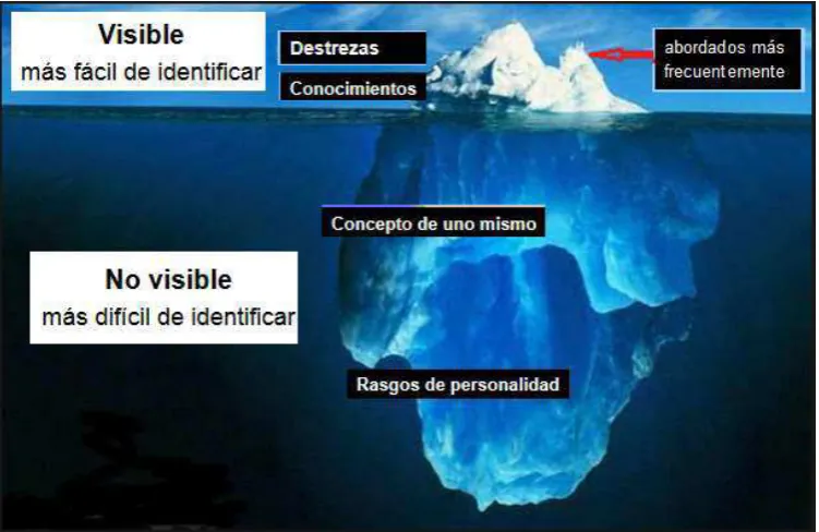 Figura 2. Modelo del iceberg. 