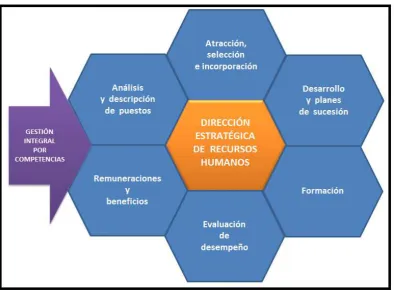 Figura 4. Modelo de gestión del talento humano. 