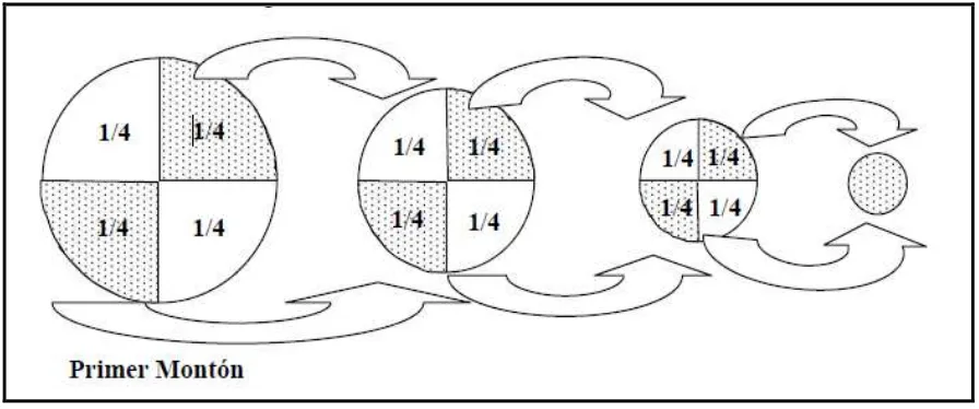 Figura 3. Método del cuarteo Fuente: Cantanhede, et all 2005 
