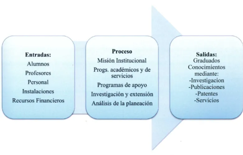 Figura 7. Análisis de las funciones de una institución visto como un proceso  (Middaugh, Trusheim y Bauer, 1994 citados en Ruiz, 2000 p.77 ) 