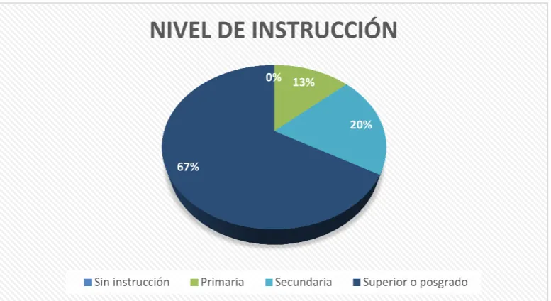 Figura 7. Nivel de instrucción 