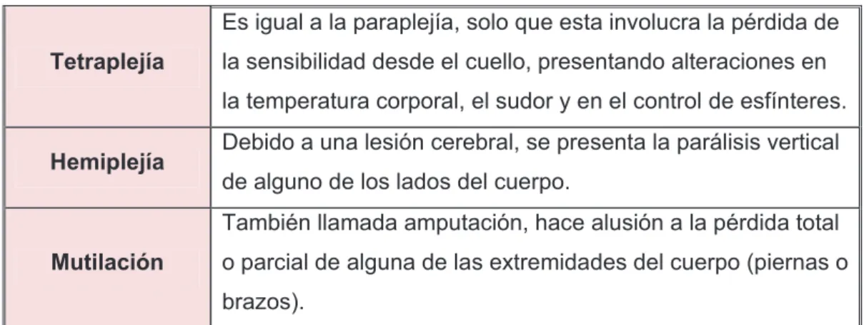 Figura 5. Principales causas de la discapacidad física 