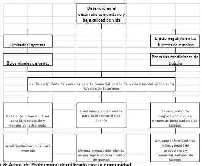 Figura 6: Árbol de Problemas identificado por la comunidad  