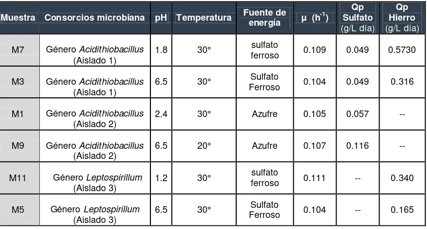 Tabla 7. Determinación de la velocidad máxima de crecimiento, productividad volumétrica (Qp) de Fe3+ y Sulfatos de 6 muestras seleccionadas en el aislamiento de los microorganismos