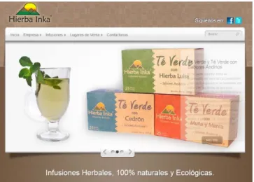 Figura 12: Página web 